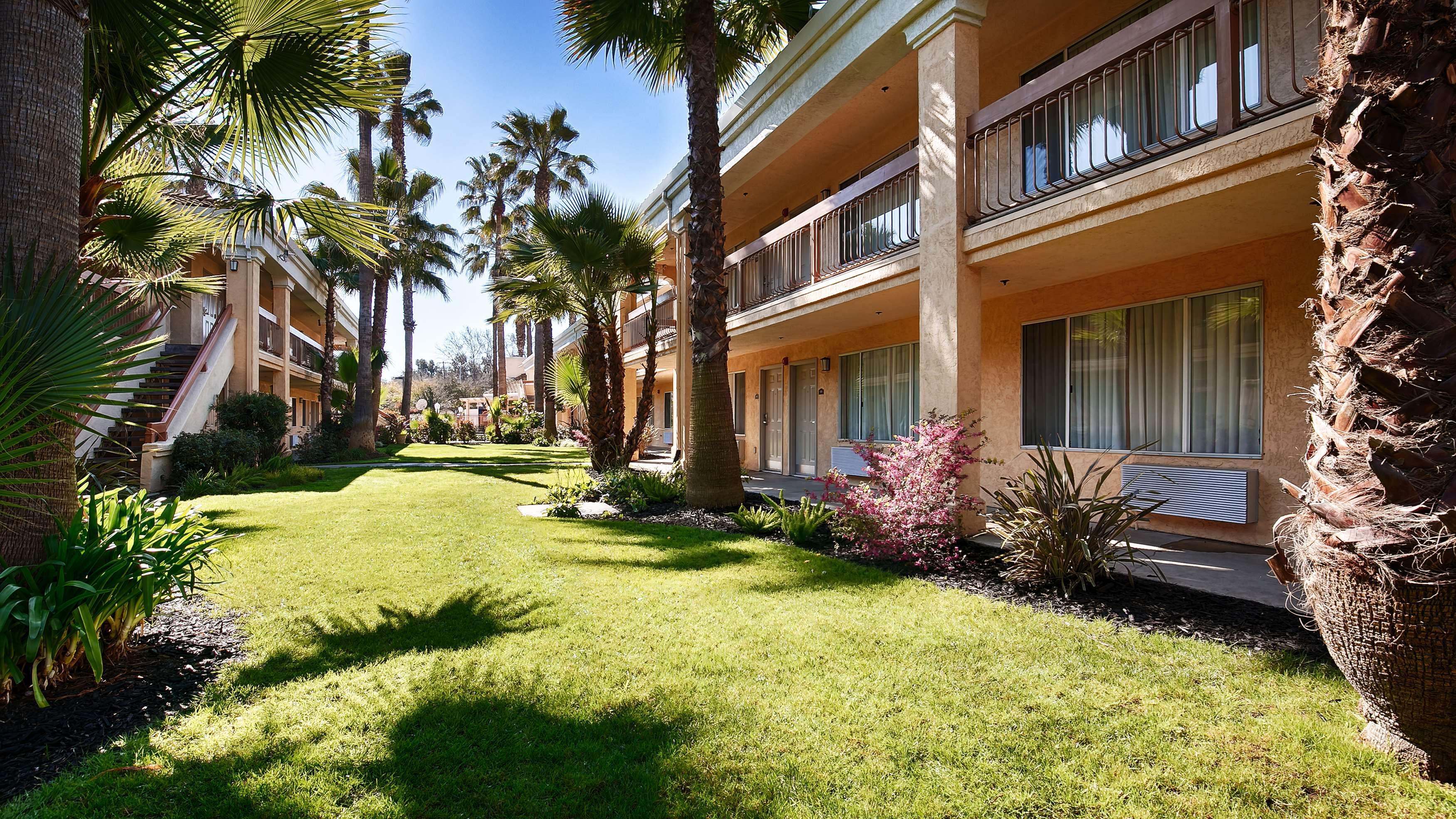 מודסטו Best Western Palm Court Inn מראה חיצוני תמונה